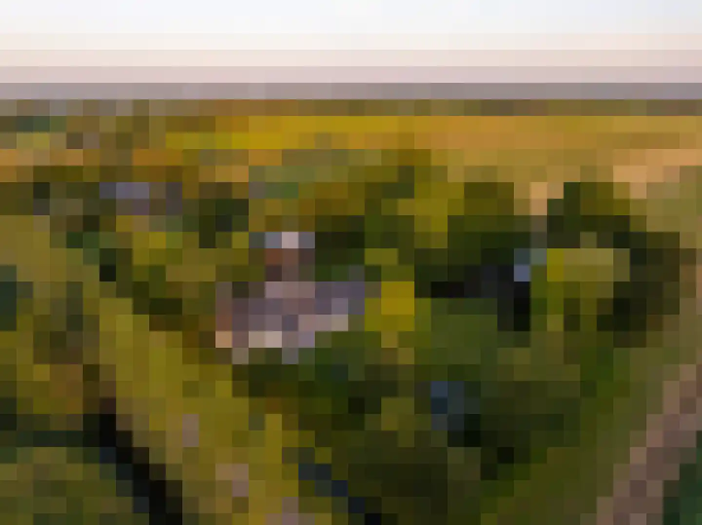 Botsholsedwarsweg 3 Waverveen thumbnail 60