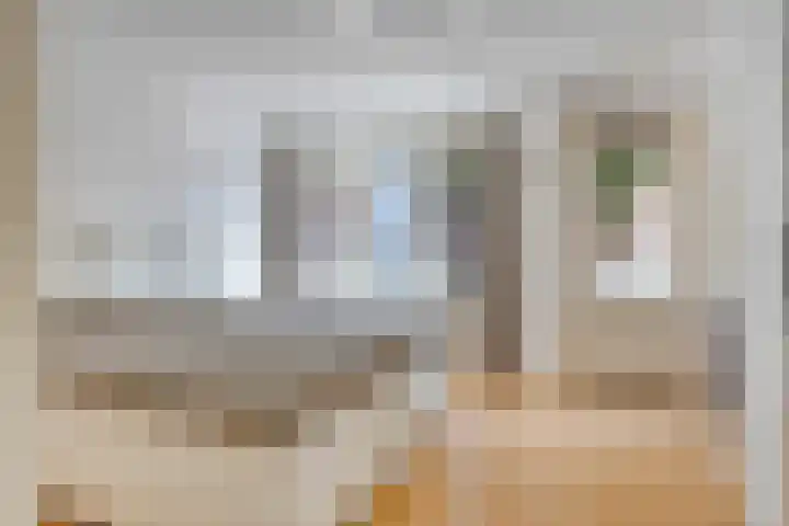 Botstraat 5 Eindhoven thumbnail 12