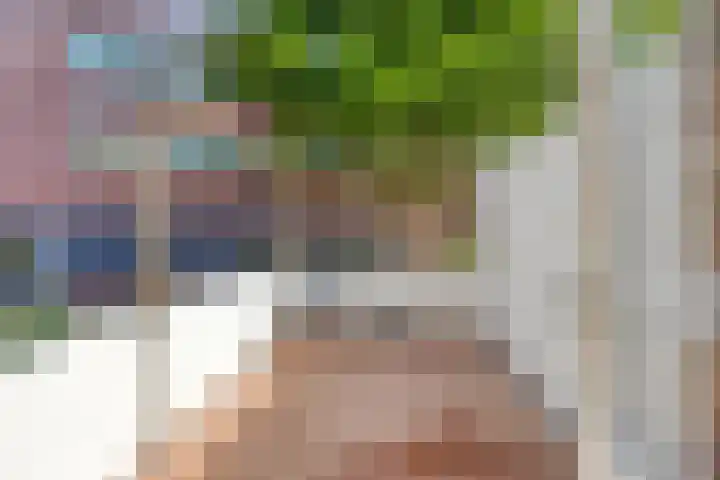 Botstraat 5 Eindhoven thumbnail 14