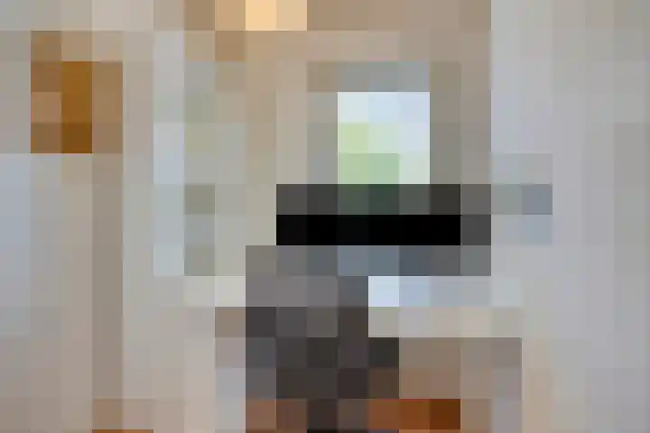 Botstraat 5 Eindhoven thumbnail 17