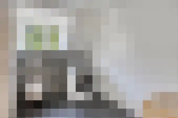 Botstraat 5 Eindhoven thumbnail 19