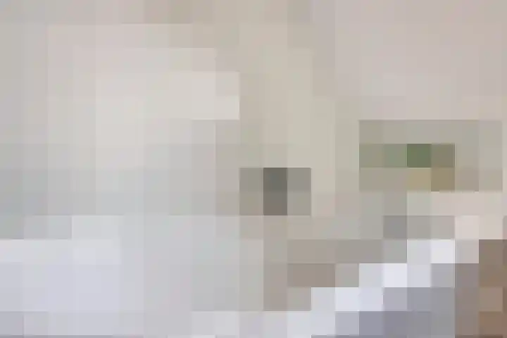 Botstraat 5 Eindhoven thumbnail 22