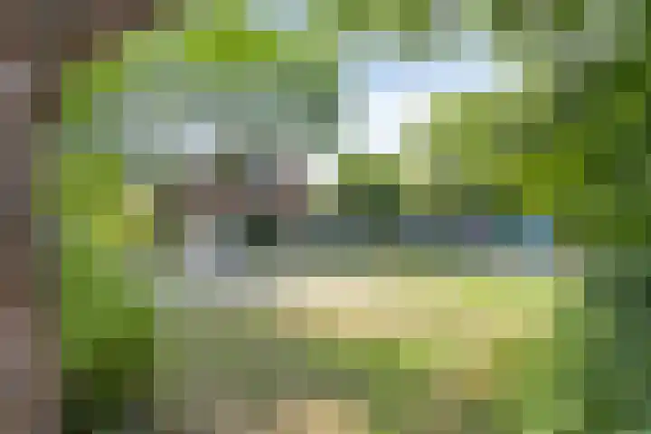 Botstraat 5 Eindhoven thumbnail 31