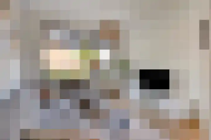Botstraat 5 Eindhoven thumbnail 6