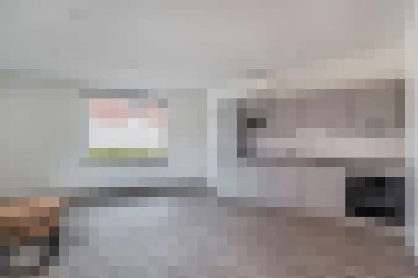 Botstraat 8 Eindhoven thumbnail 12