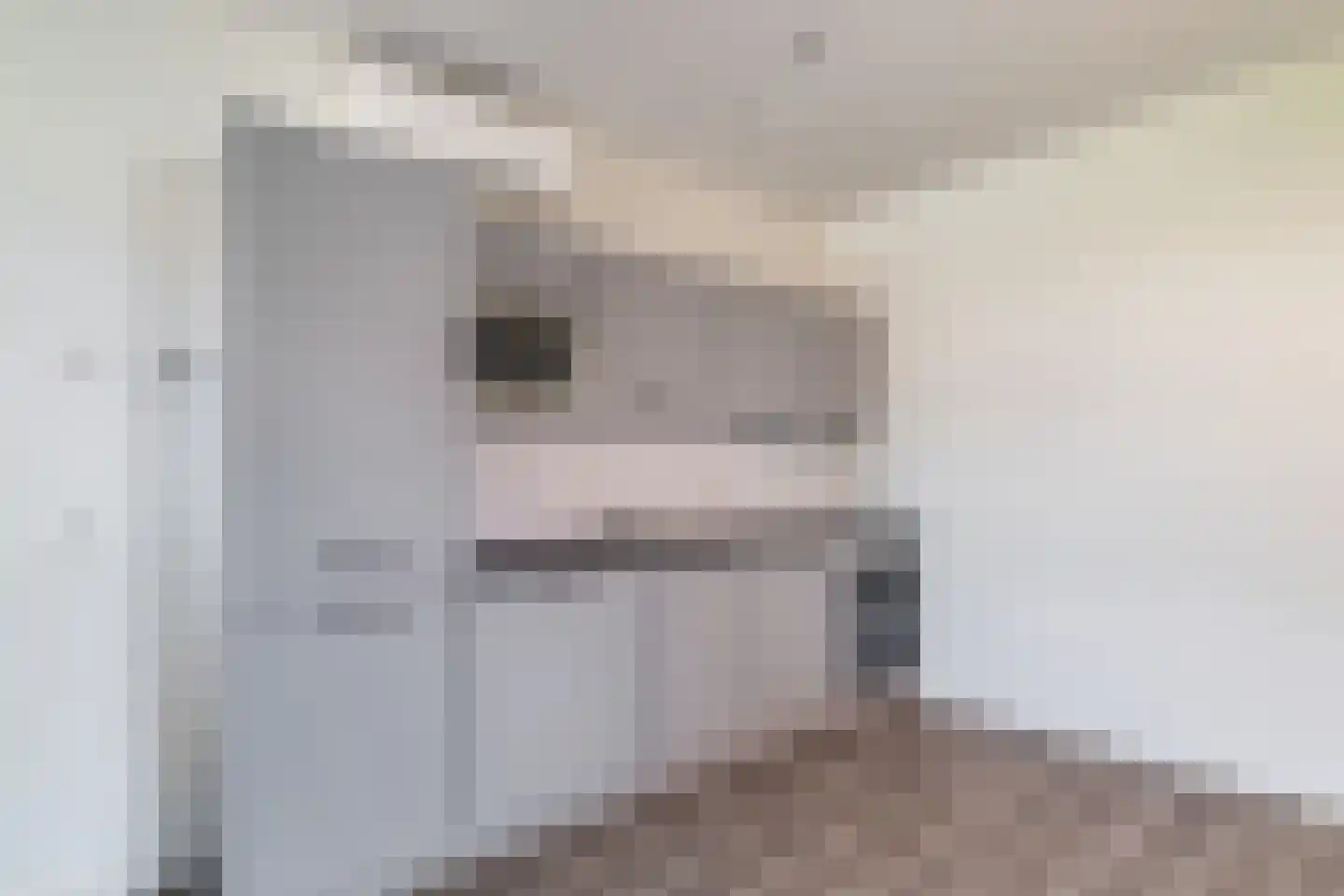 Botstraat 8 Eindhoven thumbnail 14