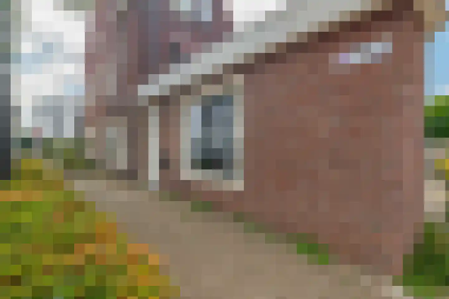 Botstraat 8 Eindhoven thumbnail 26