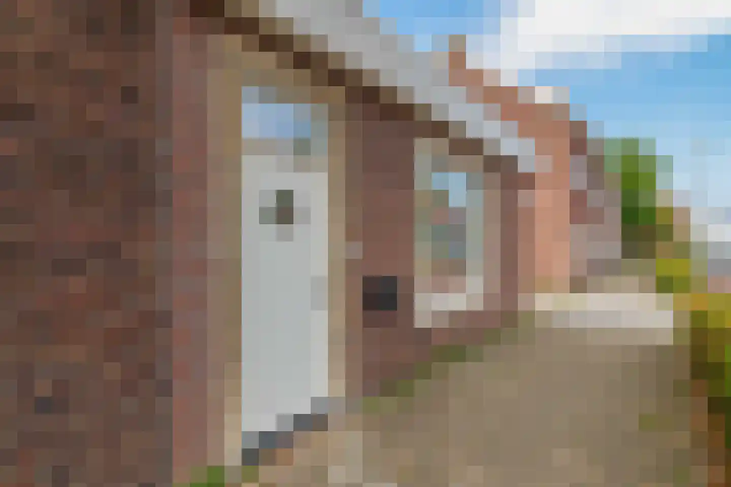 Botstraat 8 Eindhoven thumbnail 27