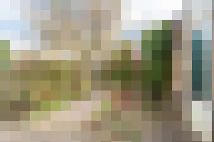 Bottalijn 7 Zoetermeer thumbnail 18