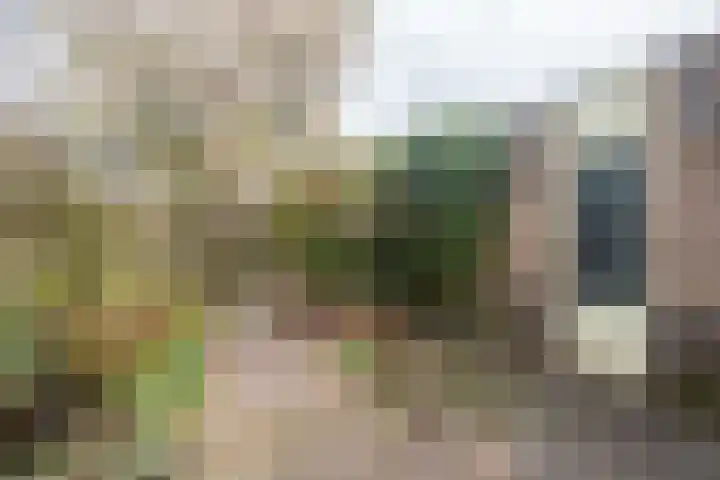 Bottalijn 7 Zoetermeer thumbnail 19