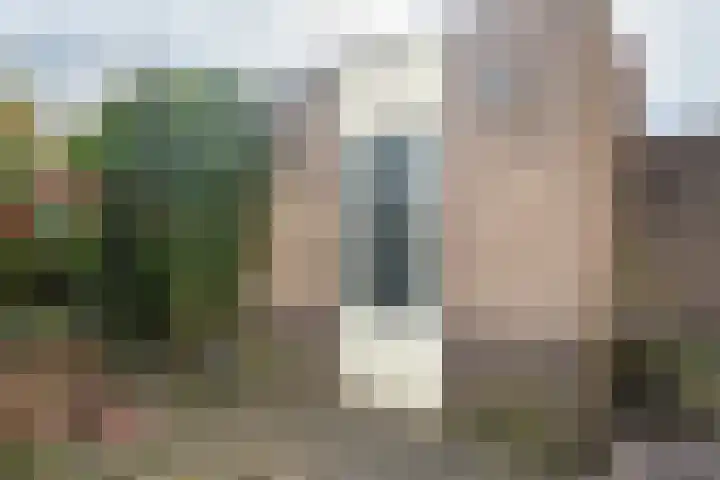 Bottalijn 7 Zoetermeer thumbnail 22