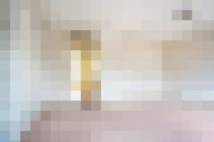 Bottalijn 7 Zoetermeer thumbnail 29