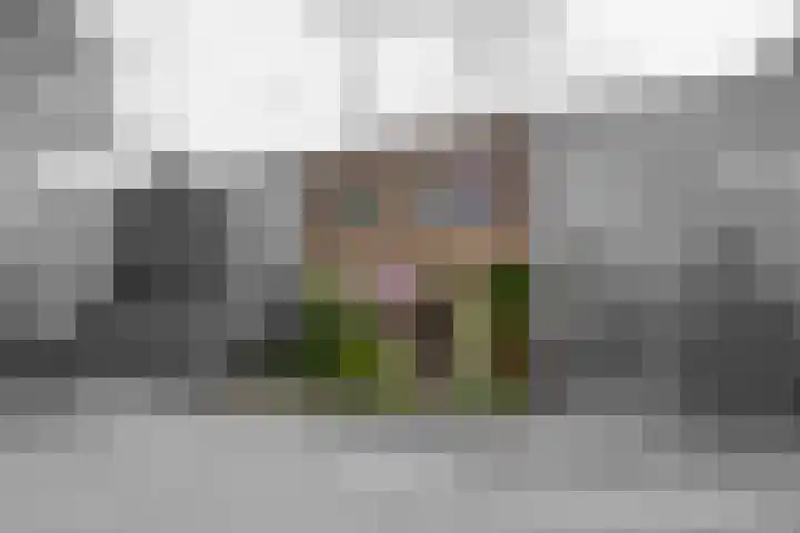 Bottalijn 7 Zoetermeer foto 3