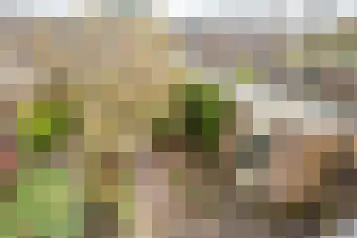 Bottalijn 7 Zoetermeer thumbnail 31