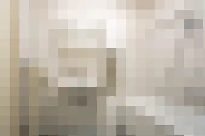 Bottalijn 7 Zoetermeer thumbnail 36