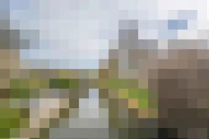 Bottalijn 7 Zoetermeer thumbnail 39