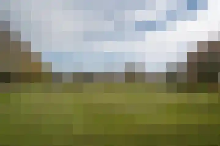 Bottalijn 7 Zoetermeer thumbnail 40