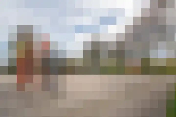 Bottalijn 7 Zoetermeer thumbnail 41