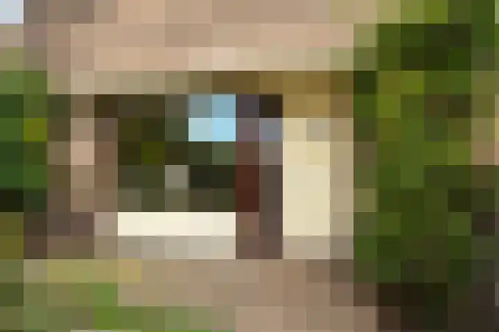 Bottalijn 7 Zoetermeer thumbnail 5