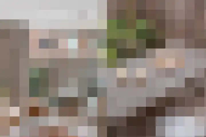 Bottelaarstraat 12 Rotterdam thumbnail 17