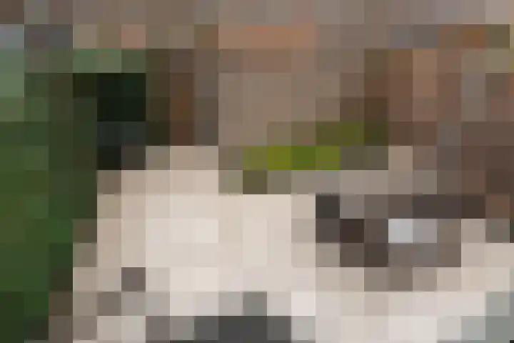 Bottelaarstraat 12 Rotterdam thumbnail 18
