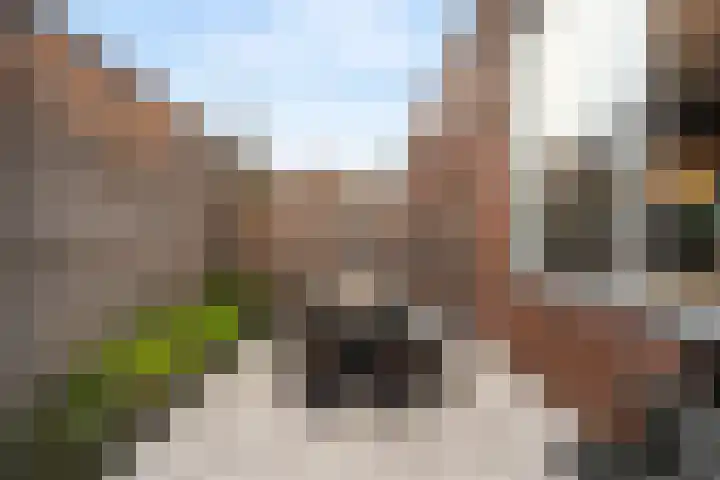 Bottelaarstraat 12 Rotterdam thumbnail 19