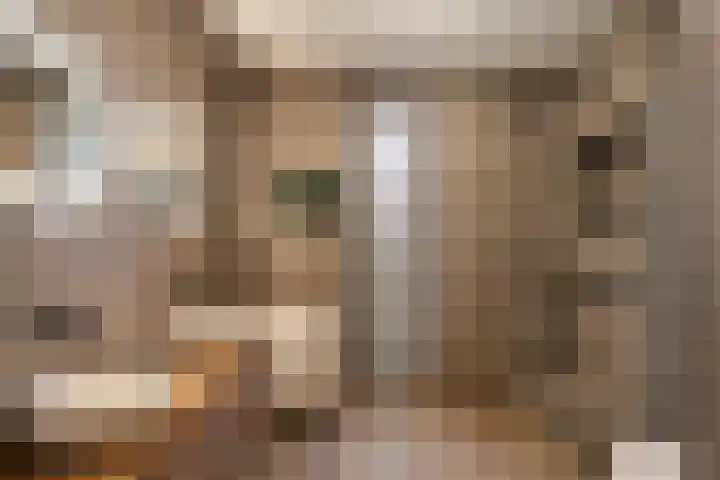 Bottelaarstraat 12 Rotterdam thumbnail 27