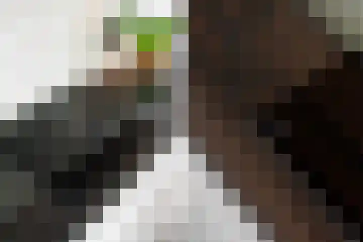 Bottelaarstraat 13 Rotterdam thumbnail 18