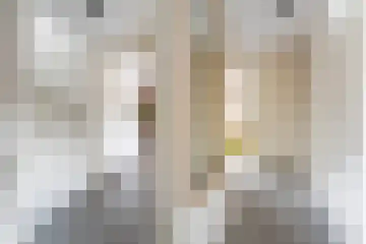 Bottelaarstraat 13 Rotterdam thumbnail 24