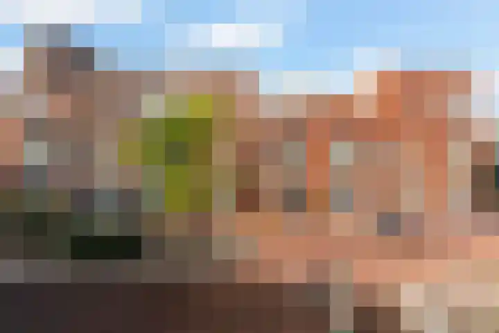Bottelaarstraat 13 Rotterdam thumbnail 5