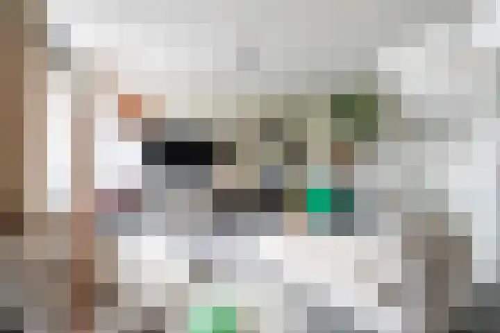 Bottelaarstraat 13 Rotterdam thumbnail 8