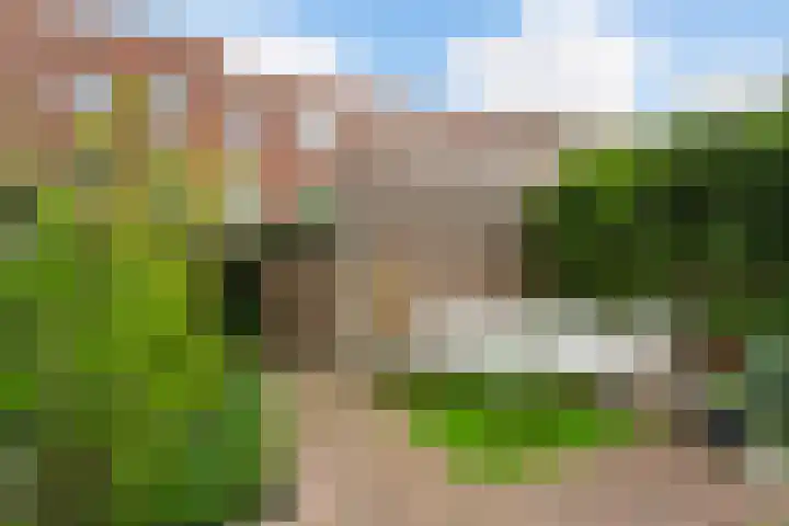 Bottelaarstraat 20 Rotterdam thumbnail 7