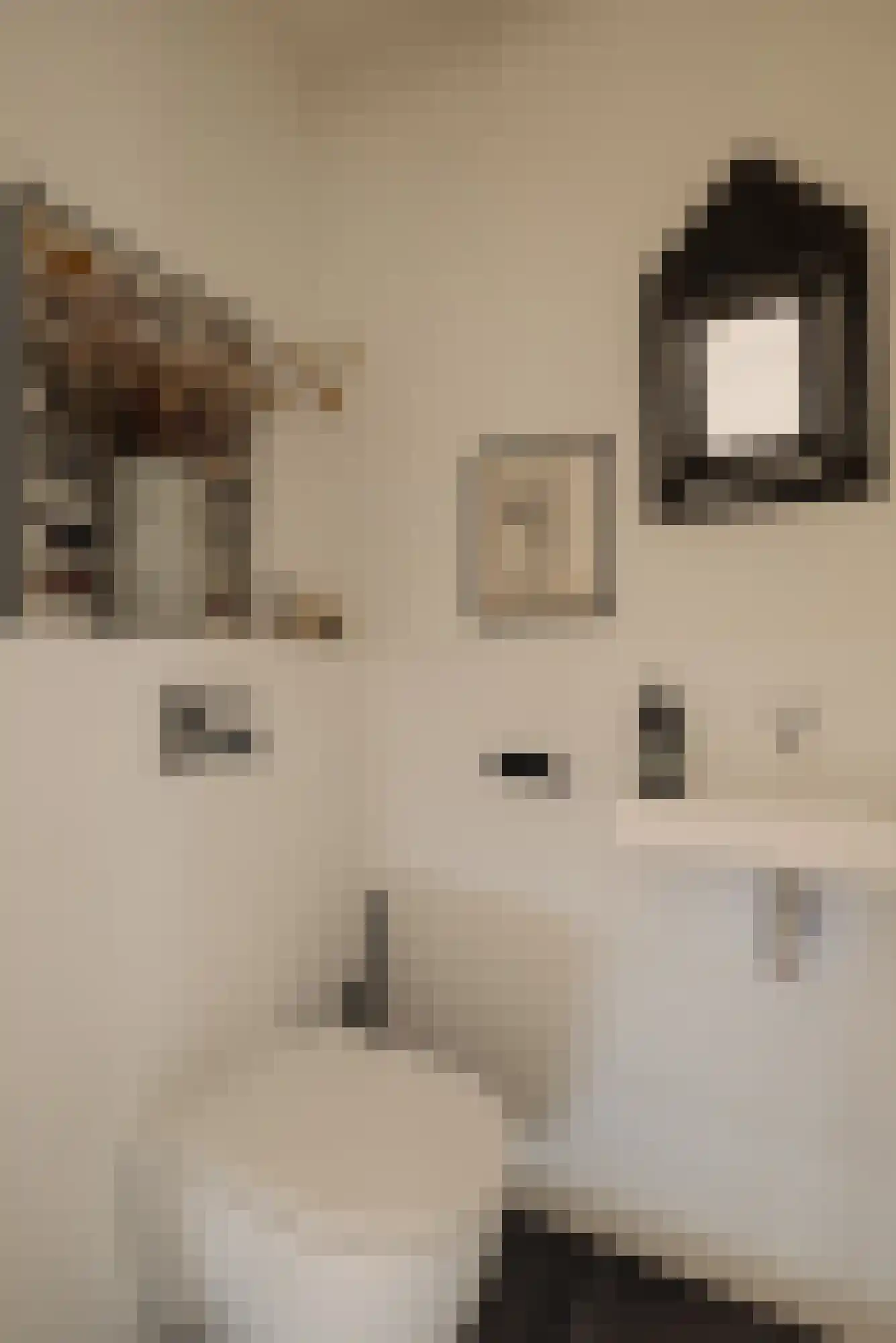 Bottelarijstraat 21 Amsterdam thumbnail 32