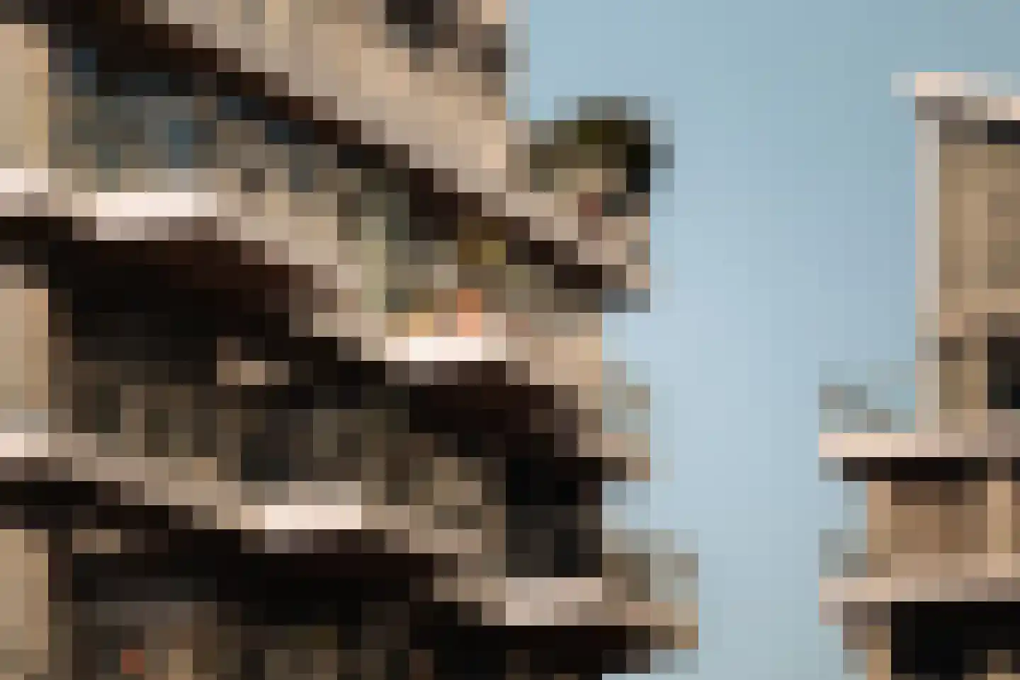 Bottelarijstraat 21 Amsterdam thumbnail 37