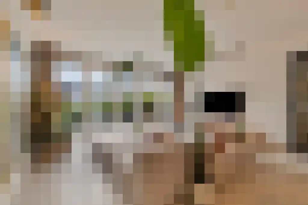Bottelarijstraat 33 Amsterdam thumbnail 4