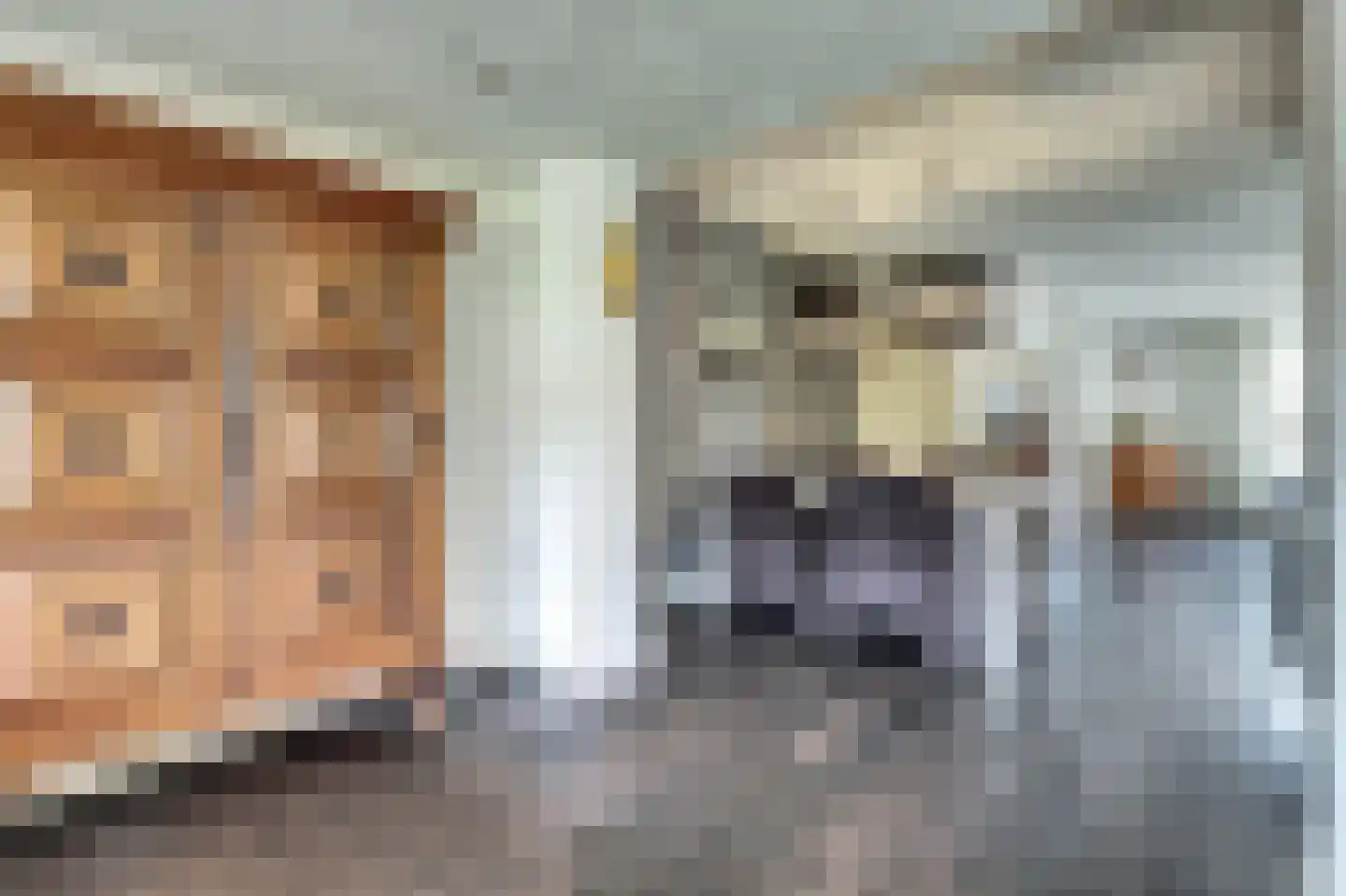 Bottelhoek 8 Bemmel thumbnail 10