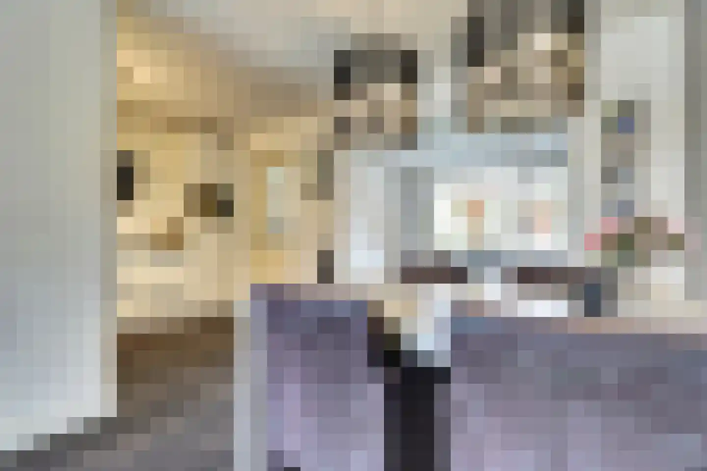 Bottelhoek 8 Bemmel thumbnail 12
