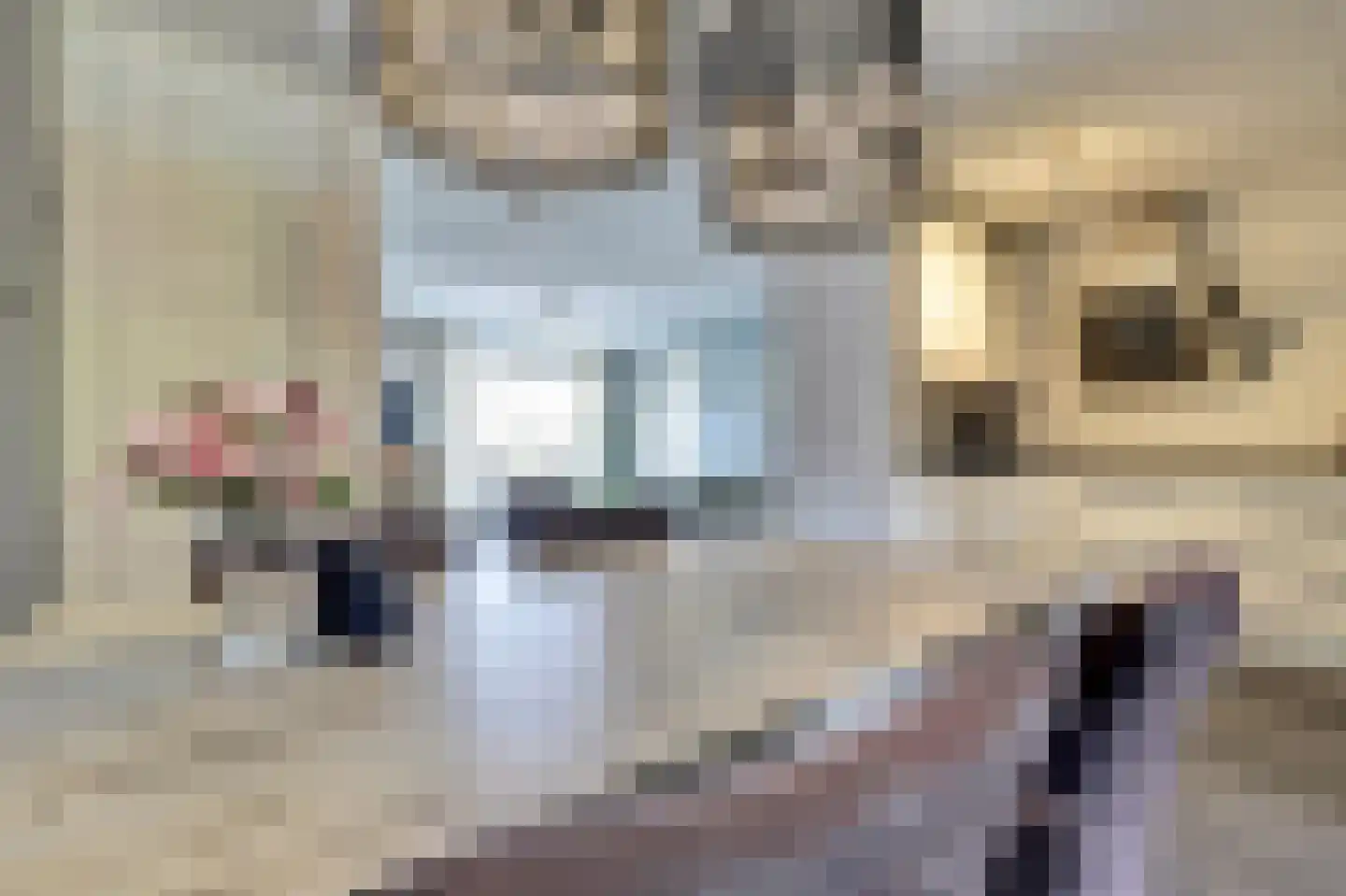 Bottelhoek 8 Bemmel thumbnail 13
