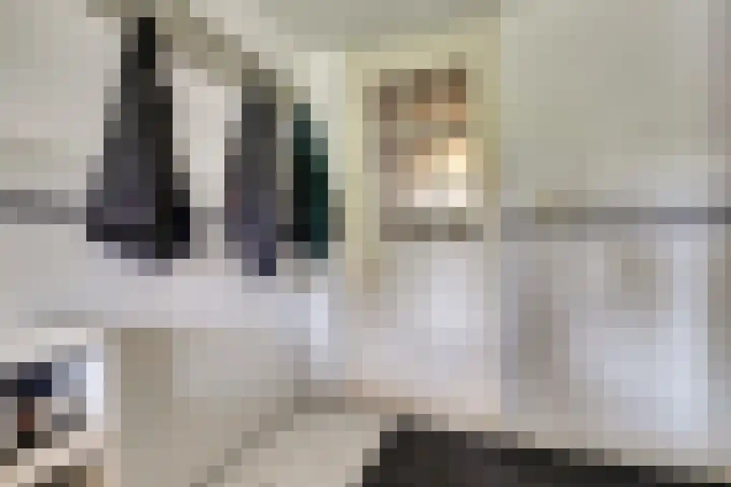 Bottelhoek 8 Bemmel thumbnail 19