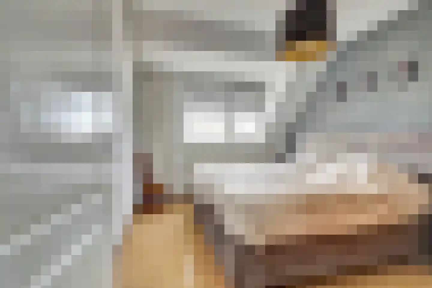 Bottelhoek 8 Bemmel thumbnail 32