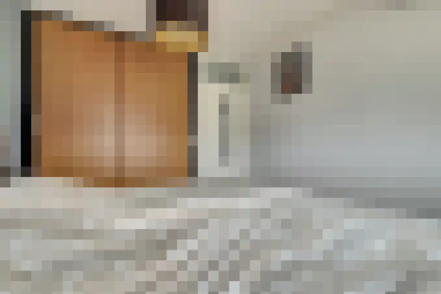 Bottelhoek 8 Bemmel thumbnail 33