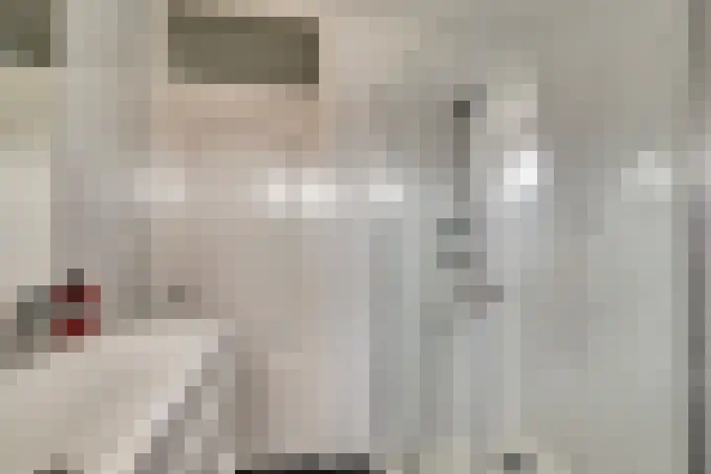 Bottelhoek 8 Bemmel thumbnail 35