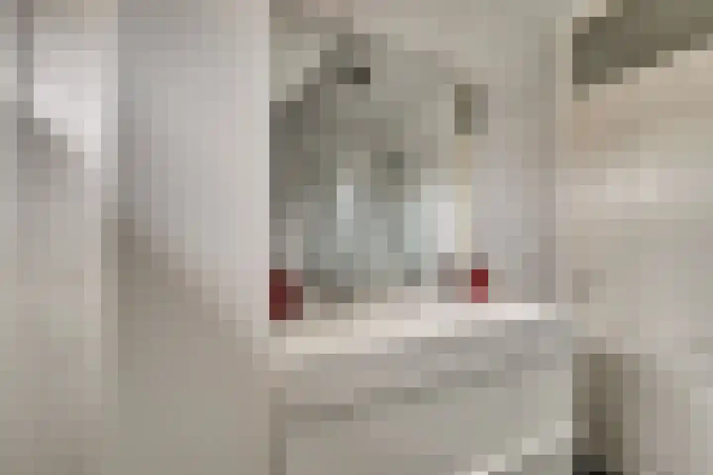 Bottelhoek 8 Bemmel thumbnail 37