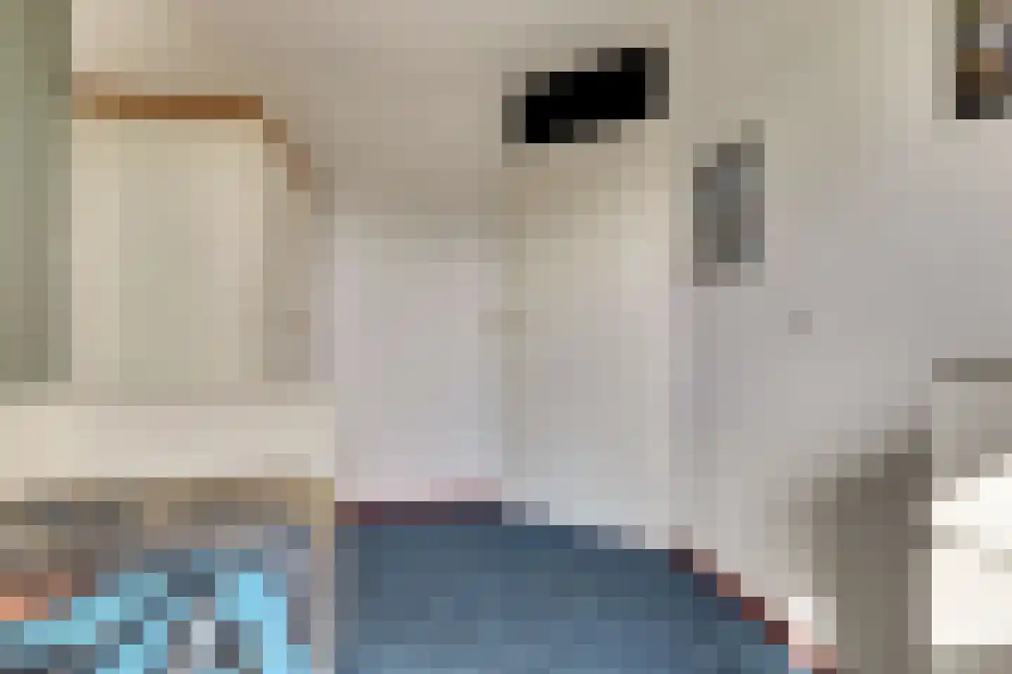 Bottelhoek 8 Bemmel thumbnail 39
