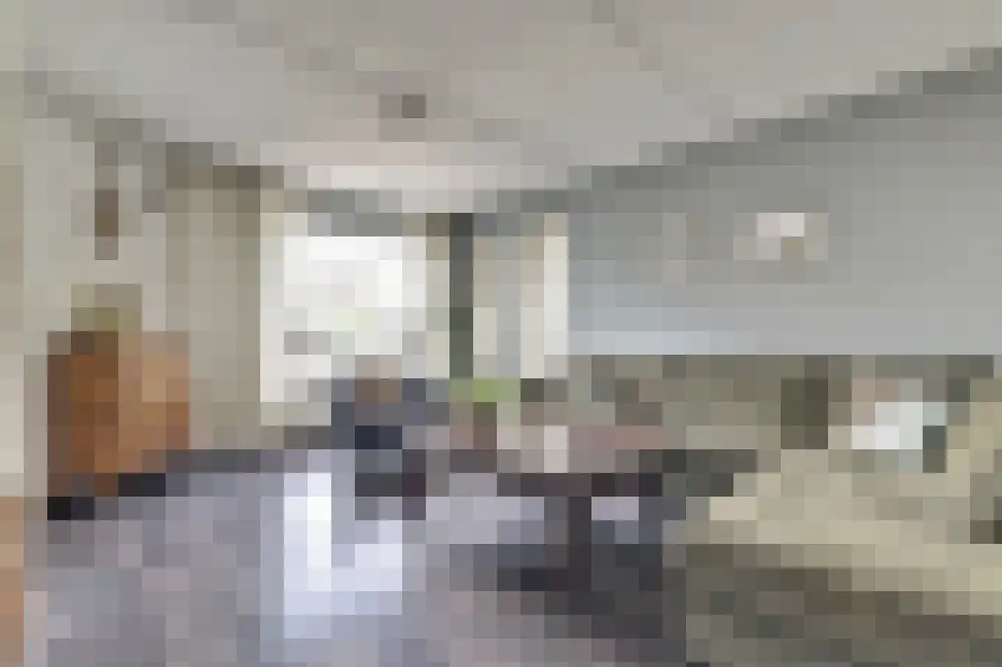 Bottelhoek 8 Bemmel thumbnail 4