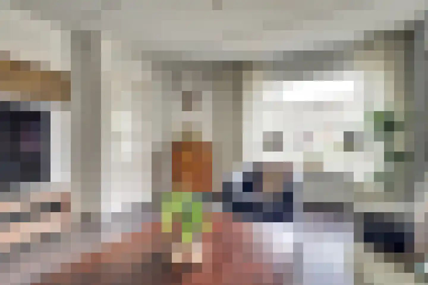Bottelhoek 8 Bemmel thumbnail 5
