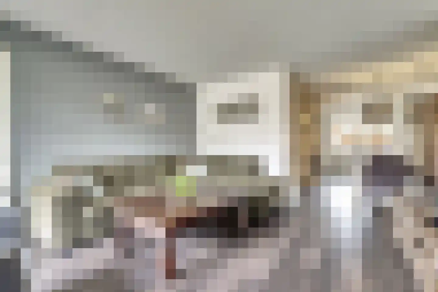Bottelhoek 8 Bemmel thumbnail 6