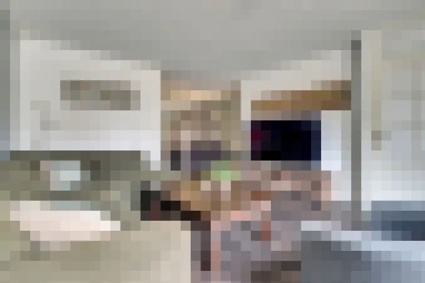 Bottelhoek 8 Bemmel thumbnail 7