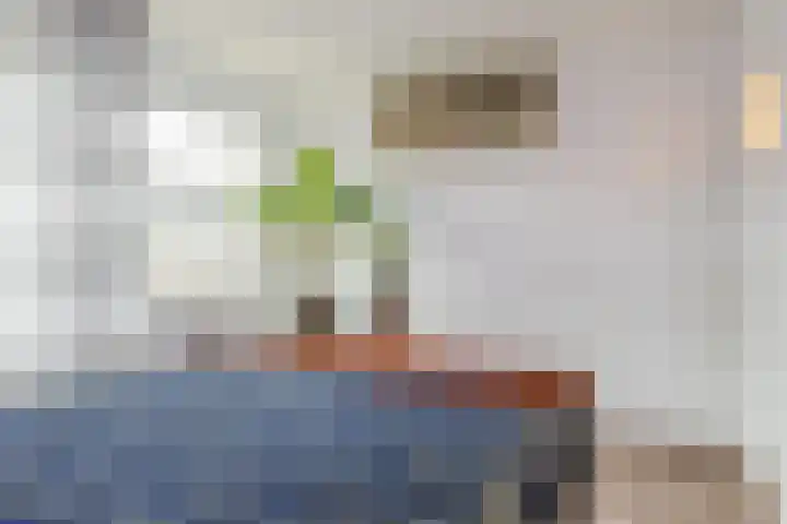 Botteliersdreef 65 Cuijk thumbnail 13