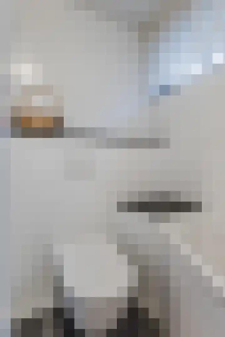 Botteliersdreef 65 Cuijk thumbnail 17